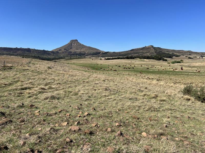 0 Bedroom Property for Sale in Harrismith Free State